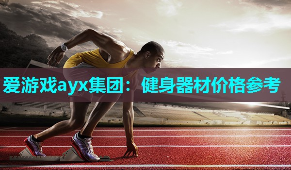 爱游戏ayx集团：健身器材价格参考