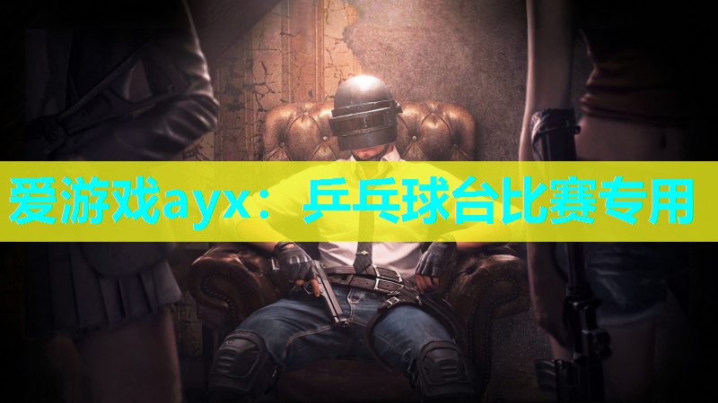 爱游戏ayx：乒乓球台比赛专用