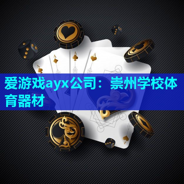 爱游戏ayx公司：崇州学校体育器材