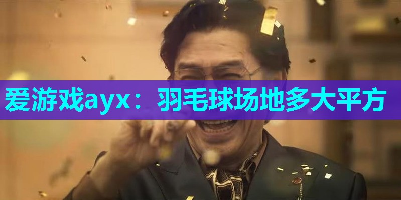 爱游戏ayx：羽毛球场地多大平方