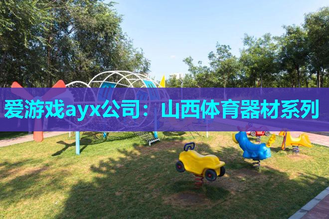 爱游戏ayx公司：山西体育器材系列