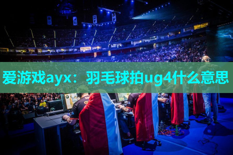 爱游戏ayx：羽毛球拍ug4什么意思