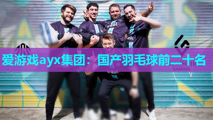 爱游戏ayx集团：国产羽毛球前二十名