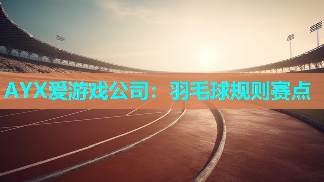 AYX爱游戏公司：羽毛球规则赛点