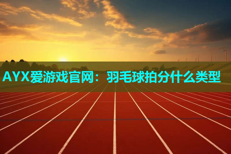 羽毛球拍分什么类型